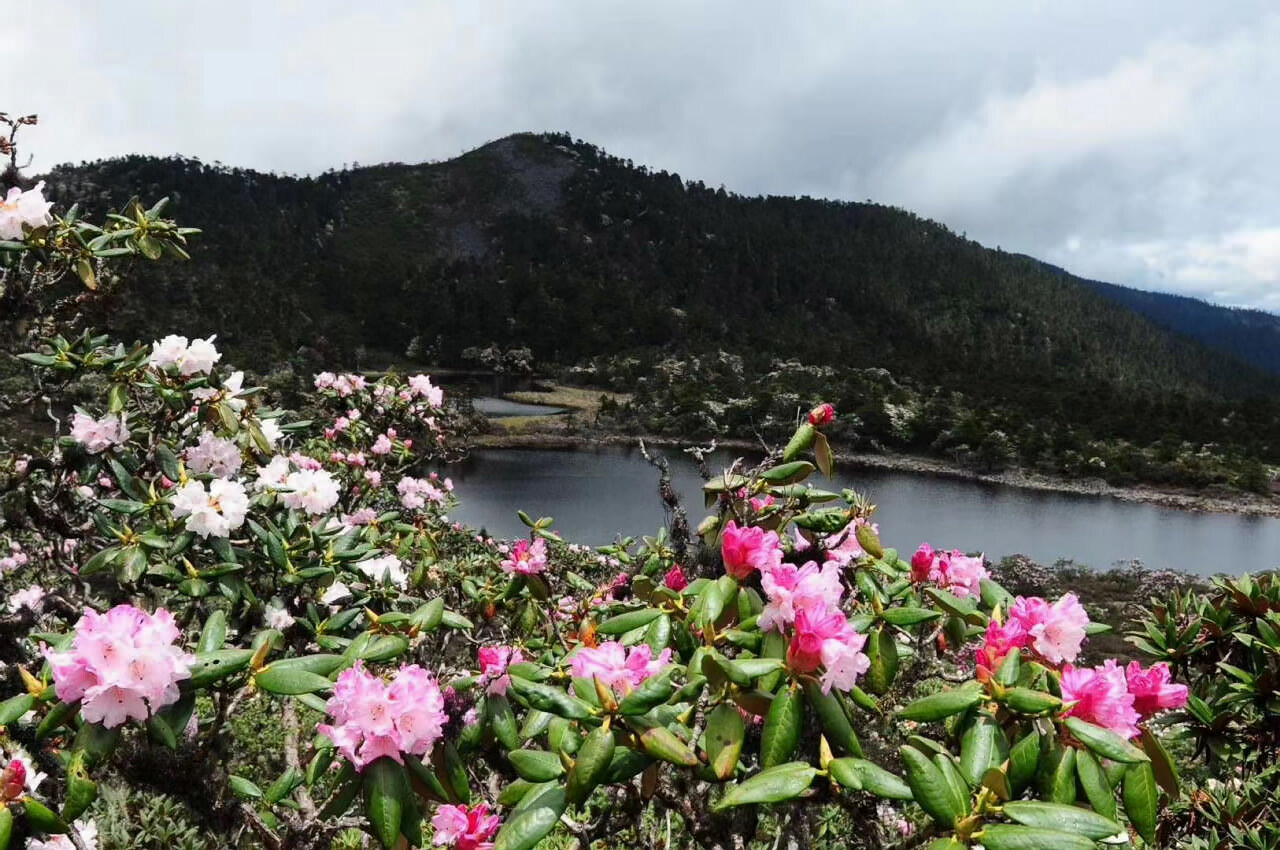 大理蒼山洗馬潭景區(qū)戶(hù)外徒步拓展旅游全攻略
