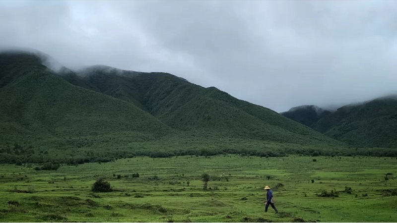 大理研學(xué)旅行