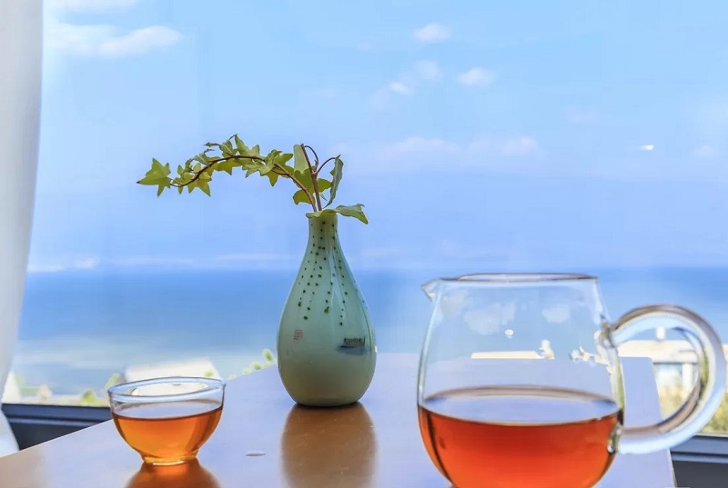 夏令營的起源是什么？