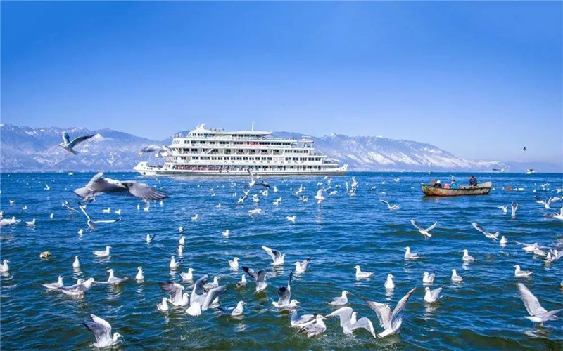 大理旅游 去表白吧！在大理這些美麗的湖畔