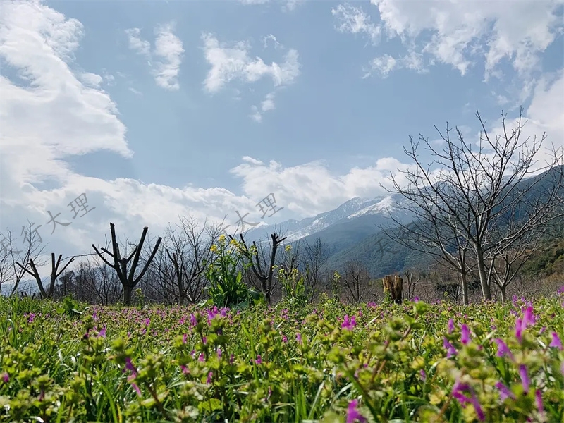 大理小重山鹿鳴山莊戶(hù)外基地