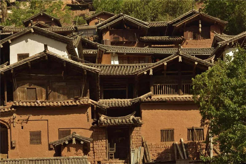 鄉(xiāng)愁大理丨諾鄧大青樹下，宿進(jìn)青蔥歲月，眺望巨木蒼天