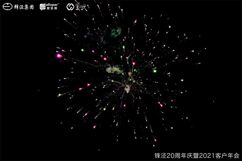 上海鋒涇集團(tuán)20周年慶暨2021年客戶(hù)年會(huì)團(tuán)建活動(dòng)篝火晚會(huì)