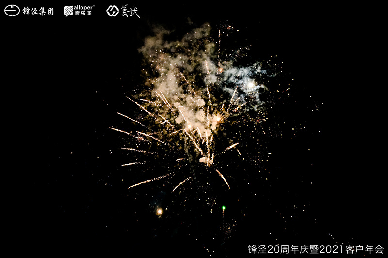 上海鋒涇集團(tuán)20周年慶暨2021年客戶(hù)年會(huì)團(tuán)建活動(dòng)篝火晚會(huì)