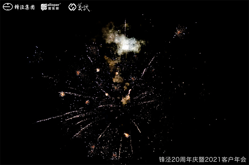 上海鋒涇集團(tuán)20周年慶暨2021年客戶(hù)年會(huì)團(tuán)建活動(dòng)篝火晚會(huì)