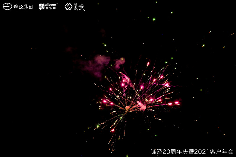 上海鋒涇集團(tuán)20周年慶暨2021年客戶(hù)年會(huì)團(tuán)建活動(dòng)篝火晚會(huì)